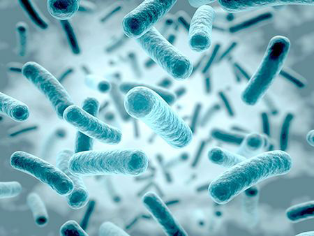 口腔内の菌のバランスが重要